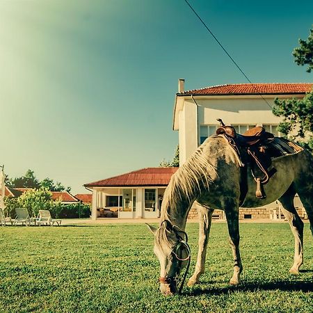 Guest House Ongal กรูชูนา ภายนอก รูปภาพ