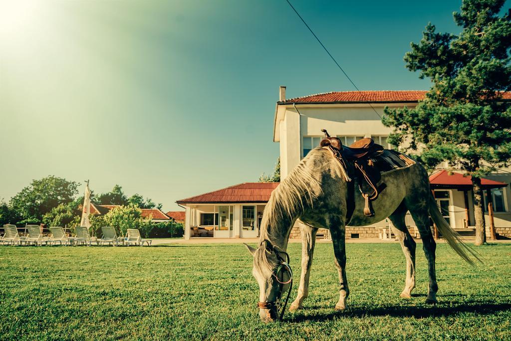 Guest House Ongal กรูชูนา ภายนอก รูปภาพ