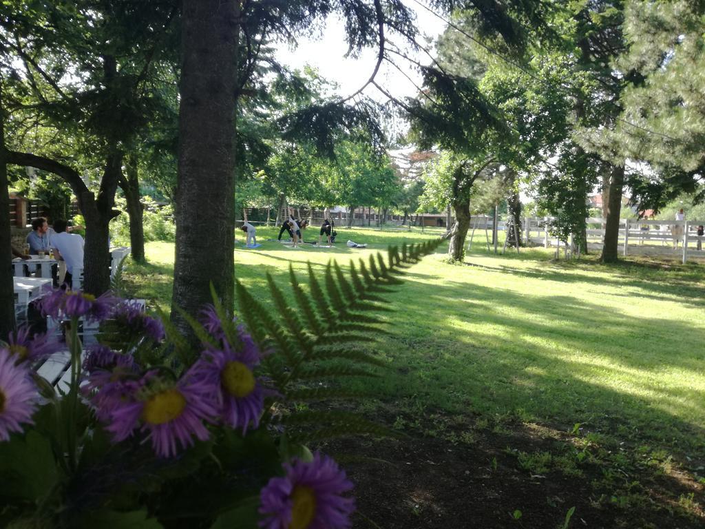 Guest House Ongal กรูชูนา ภายนอก รูปภาพ